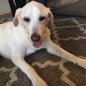 Meet your Posher, Cheryl